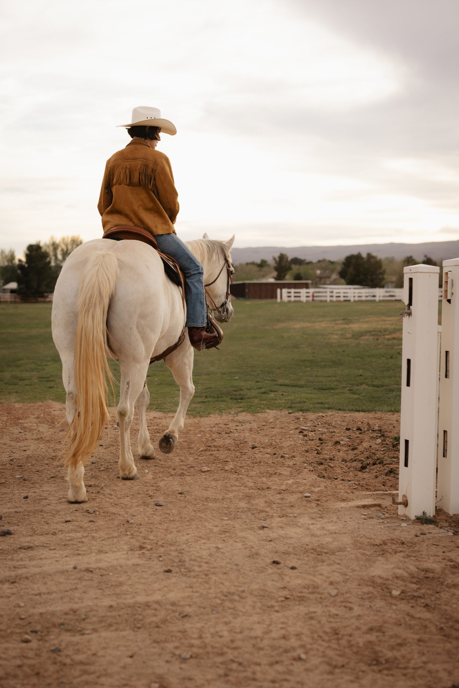 somatics for equestrians
